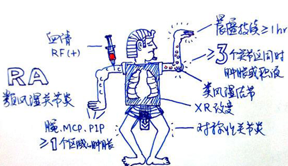 澳洲维骨力治疗关节炎效果怎么样图6