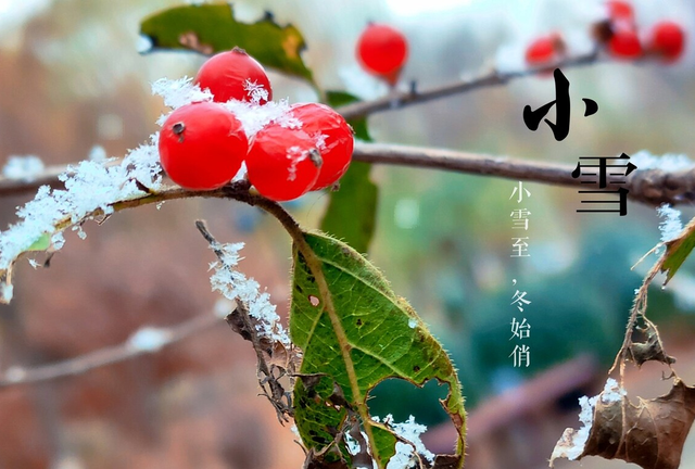 小雪将至，御寒保暖是关键，多吃这5种食材，营养滋补，一冬无病