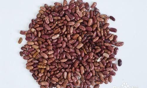 豇豆怎么种植,豇豆怎么种植适合什么肥图11