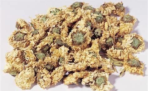 菊花有哪些用途和功效,吃菊花有什么功效图5