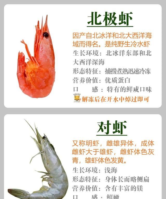 「虾的说明书」常见的区别营养价值和做法