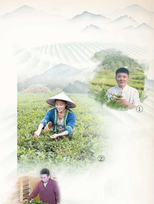 传承制茶技艺的年轻人（青春派）