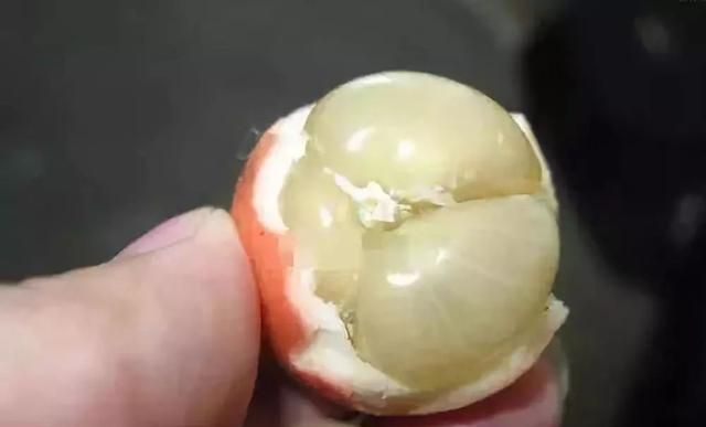 南方特有的4种水果，作为南方人也不认识，北方人连听都没听过