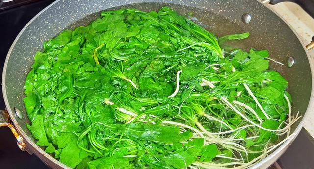 荠菜是“护眼冠军”，高钙高蛋白，比白菜、韭菜还鲜，包饺子真香