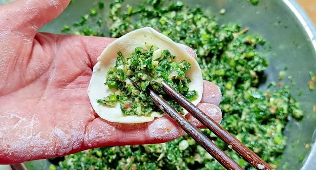 荠菜是“护眼冠军”，高钙高蛋白，比白菜、韭菜还鲜，包饺子真香