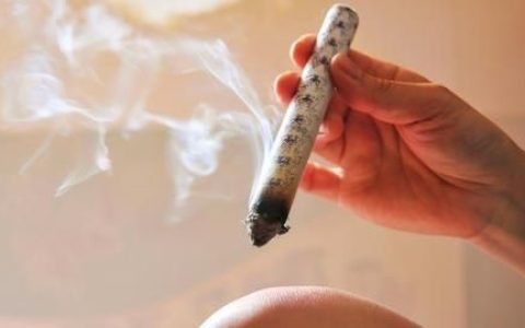 艾杆的功效和作用,艾杆和艾叶的功效一样吗