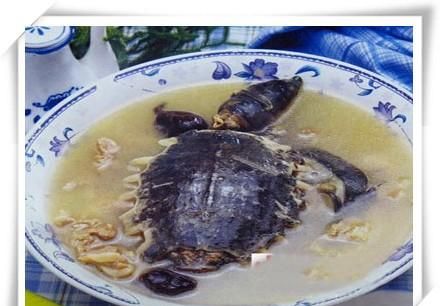 甲鱼炖汤的做法,甲鱼炖汤的做法孕妇可以吃吗图1