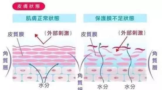 面霜有什么作用和功效(修复面霜的作用)图4