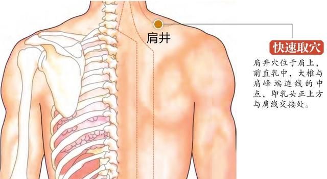 穴位养生｜头颈强痛、乳腺炎、肩背疼痛、脚气按肩井穴，活络消肿