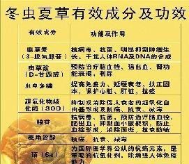 虫草真的能治病吗图2
