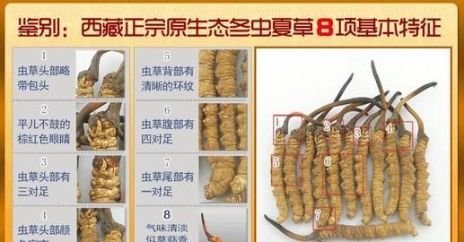 虫草真的能治病吗图5