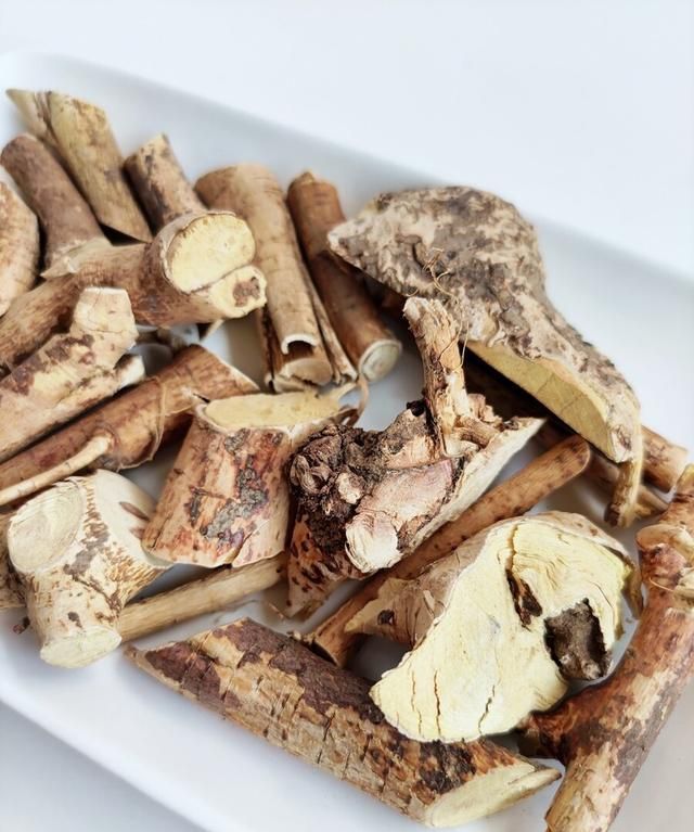 五指毛桃和土茯苓煮水可以天天喝吗