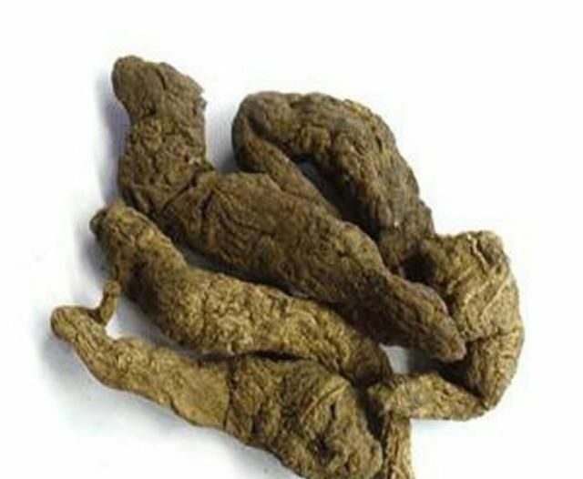 地黄如何冲泡(六味地黄丸的正确冲泡方法)图5