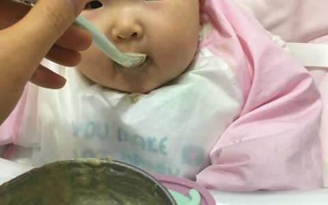 宝宝吃的辅食肉泥该怎么做才会比较容易吃呢