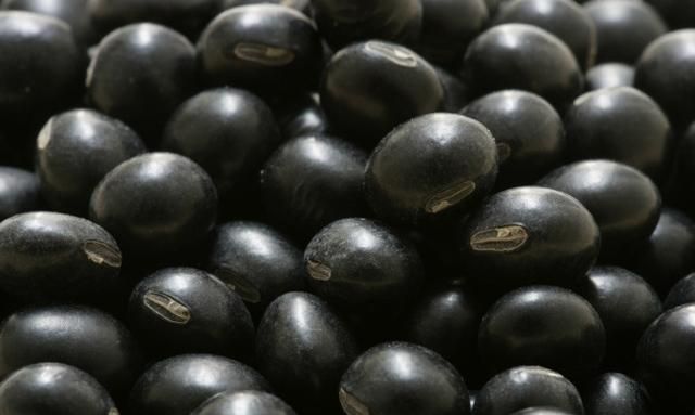 黑豆有哪些功效(黑豆用量和功效)图5