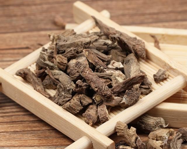 蒲公英根生吃好吗,蒲公英根能栽活吗图5