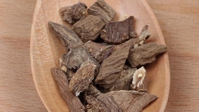 蒲公英根生吃好吗,蒲公英根能栽活吗图7