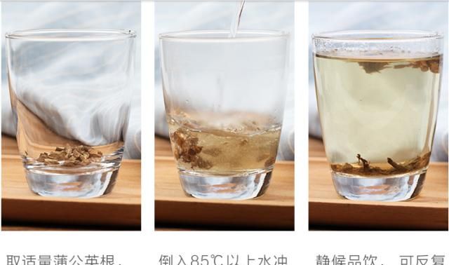 蒲公英根生吃好吗,蒲公英根能栽活吗图9