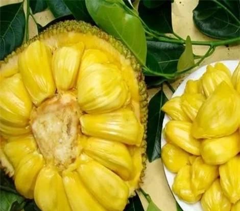 波罗蜜什么去皮,菠萝蜜去皮的正确方法图3