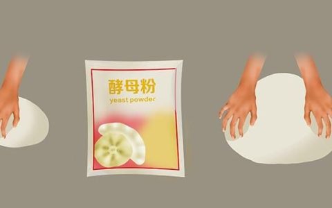 酵母对胃好还是小苏打对胃好(酵母和醋发面有副作用吗)