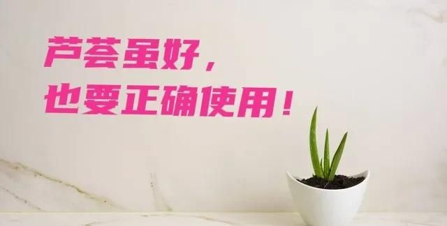 芦荟的功效主要是什么图3