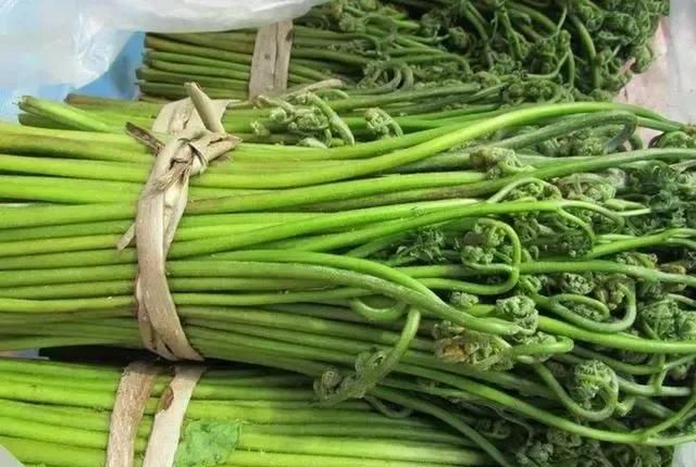 春天是吃野菜的季节,有哪些好吃的野菜及做法图6
