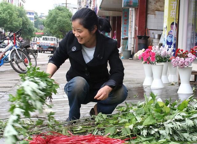 跟师每日一学草药23：篓叶