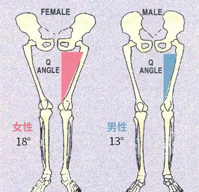 50岁女人膝盖疼痛是缺钙吗(50多岁女人膝盖痛是缺钙吗)图5