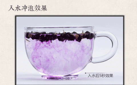 黑枸杞泡酒喝的功效是什么(桑葚加黑枸杞泡酒什么功效)