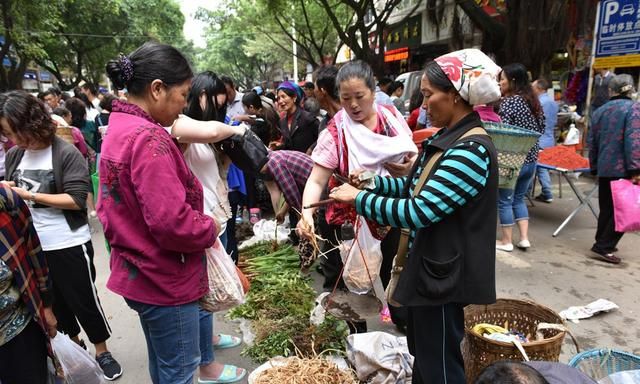 6月18日德昌端午节火爆场面将至，众多中草药先让你辨认，药膳宴等你品尝