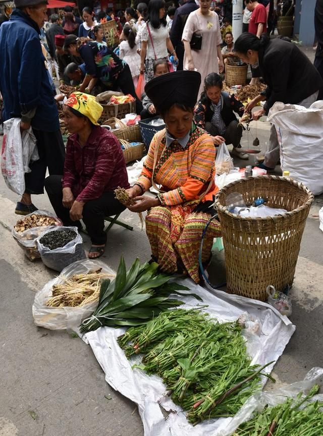 6月18日德昌端午节火爆场面将至，众多中草药先让你辨认，药膳宴等你品尝