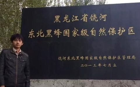东北黑蜂蜂蜜功能,黑蜂椴树蜜500g东北饶河黑蜂蜂蜜