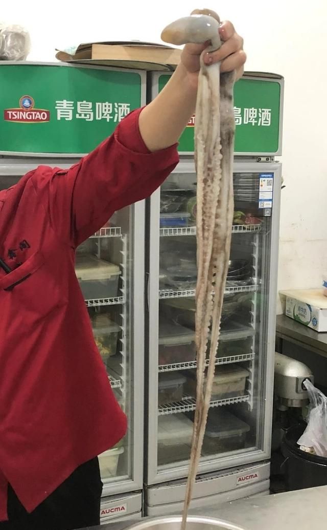 捞汁八带最经典做法，四种颜色横跨盘中，鲜艳夺目附：料汁配方