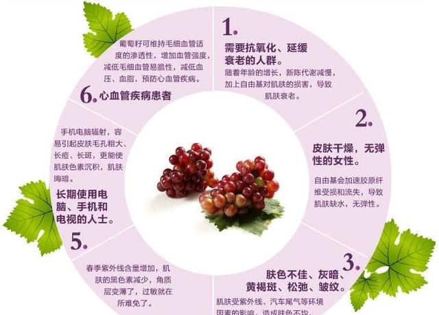 吃葡萄籽真的可以抗衰老吗图3