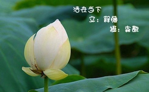 做一个活在当下的人有什么好处(人活在当下该做什么就去做)图4