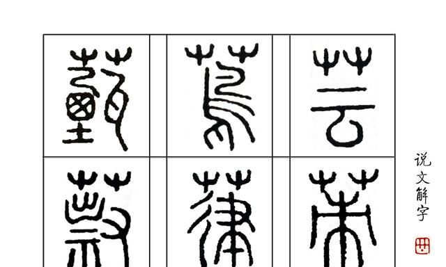 这种总划伤皮肤的草，它在《说文解字》里叫什么名字？