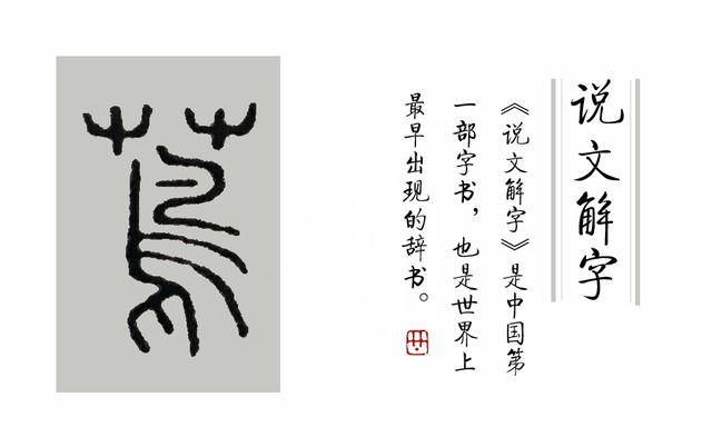 这种总划伤皮肤的草，它在《说文解字》里叫什么名字？