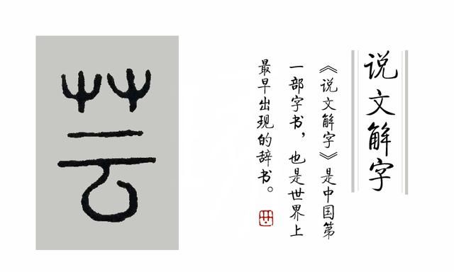 这种总划伤皮肤的草，它在《说文解字》里叫什么名字？