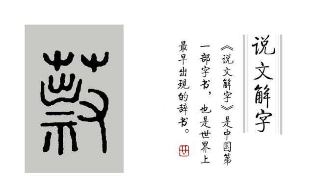 这种总划伤皮肤的草，它在《说文解字》里叫什么名字？