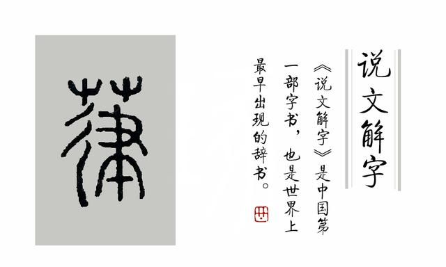 这种总划伤皮肤的草，它在《说文解字》里叫什么名字？