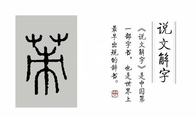 这种总划伤皮肤的草，它在《说文解字》里叫什么名字？