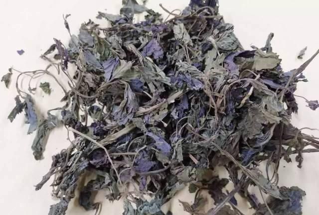 近些年很火的紫苏你都是怎么吃的图1
