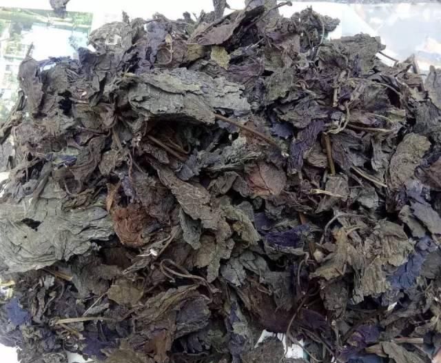 近些年很火的紫苏你都是怎么吃的图2