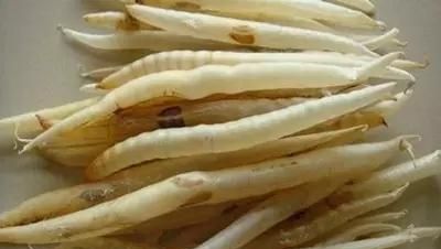 湛江最偏门的6种美食，滋养大补，很多人都没吃过