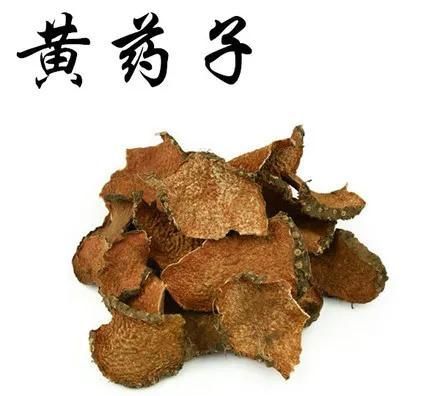 中药古今研究：黄药子