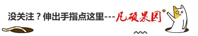 网红流心蛋糕，咬一口就爆浆，无法抵挡的诱惑，做法却如此简单