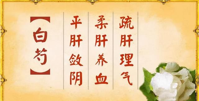 郝大夫说白芍：养血柔肝疗效好，养肝护肝不能少
