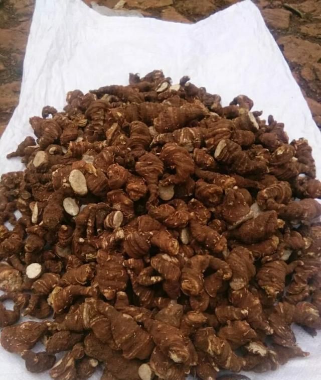 重楼七叶一枝花它有哪些药用价值图3
