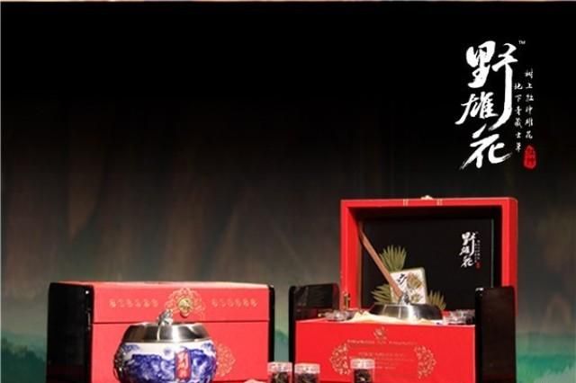 辟谷养生 一次身心灵的改变