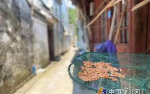 入伏和出伏时间怎么算(2022入伏和出伏时间几点入伏)